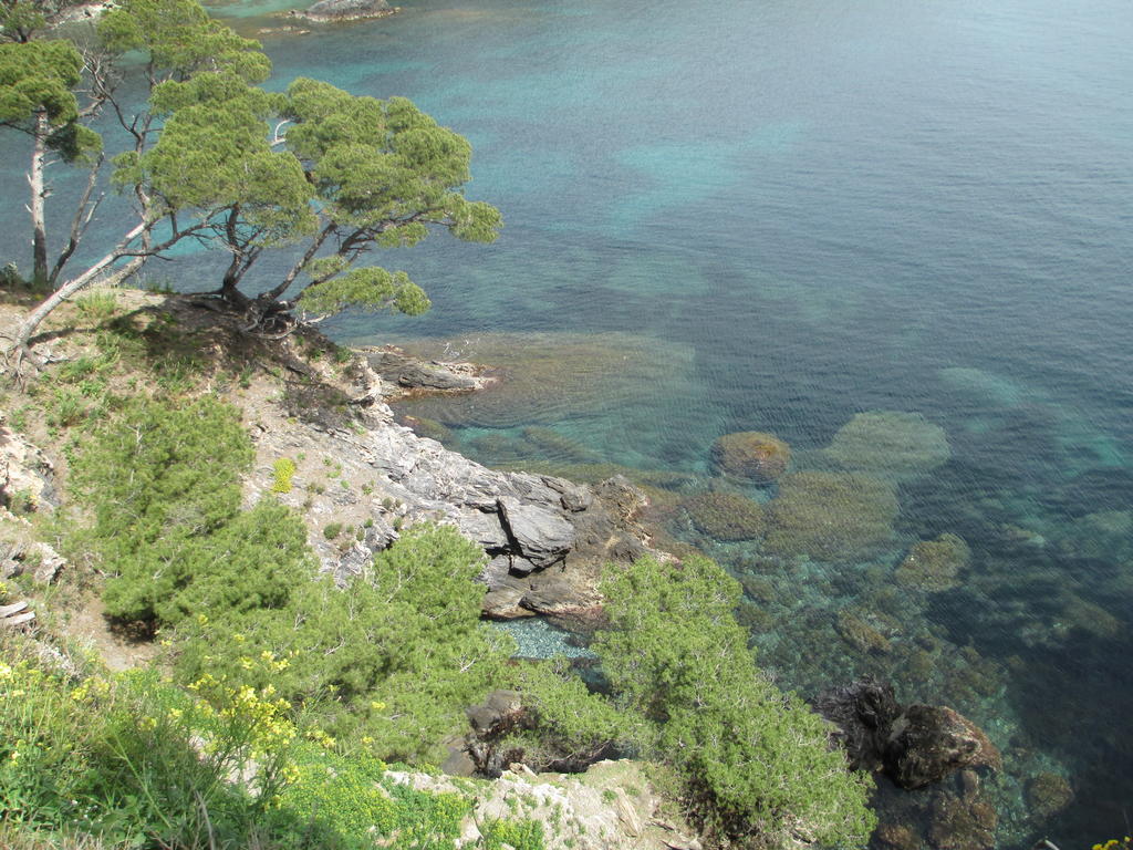 Ibis Styles Hyeres Rooftop & Spa Luaran gambar